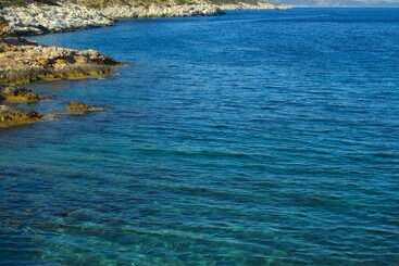 ツーリストアパートメント Amalia Residences