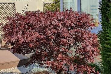 Eden S Rest Bed And Breakfast