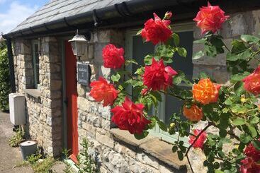 Bed and Breakfast Moorshead Farm