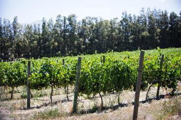 فندق Manley Wine Estate