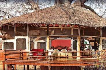 فندق Elewana Tarangire Treetops