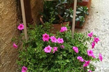 تختخواب و صبحانه Camere A Sud