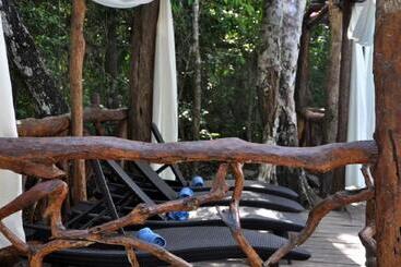 فندق Jolie Jungle Eco