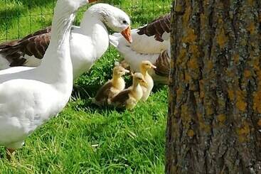 ユースホステル Villa Maëlla