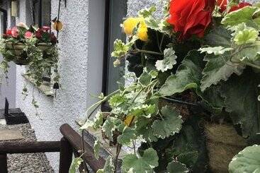 Bed and Breakfast Mere Lodge