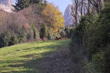 מלון דירות Super Dévoluy 545s