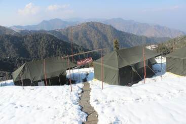 The Kanatal Orchids, Kanatal