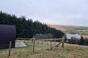 Forester S Retreat Glamping   Dinas View
