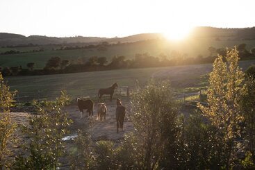 בית מלון כפרי Locanda Fontelupa