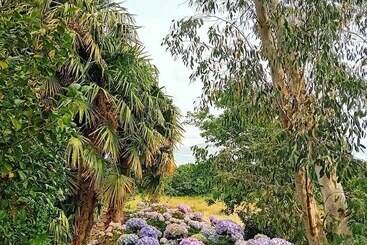 膳宿费 Le Manoir De Kérofil  Gîte Et Chambres D Hôtes