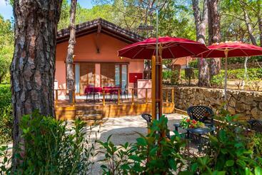 리조트 Camping Lacona Pineta