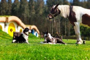 Experiencia Mi Tesoro