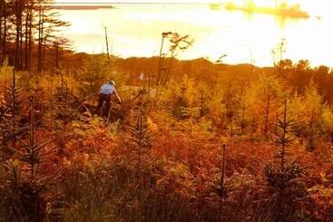 بيت ريفى Stunning Premium Yurt In Kelburn Estate Near Largs