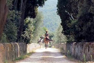 Amazing Cottage In S. Donato In Collina With Shared Pool