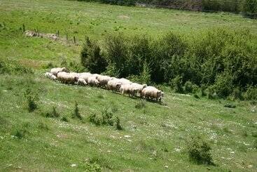 קוטג'' Farmhouse In Passignano Sul Trasimeno With Pool