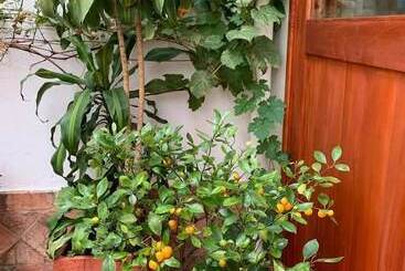 호텔 Sol De La Villa