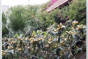 Stunning 2 Bedrooms Private Cottage In Palaiochora