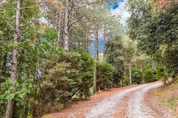 Tasteful Cottage In Cortona With Swimming Pool