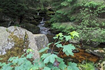 Wanderhotel Steinerne Renne