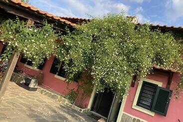 레지던스 Summer House Surrounded By Olive Trees Halkidiki