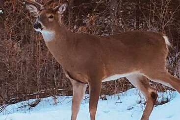 민박 Belle De Nuit