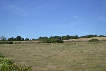 ベッドアンドブレックファースト Kings Arms Duplex