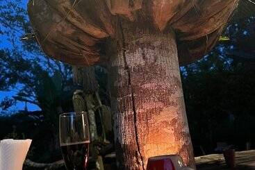 پانسیون Music In The Green Ranch