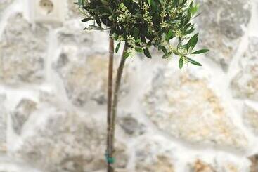 צימר Aesthisis Sensational Accommodation