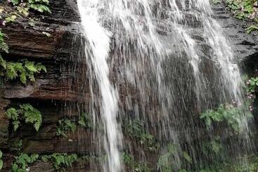 ホテル The Greenwood Resort Chikmagalur   Escape To Tranquil Mountain Views