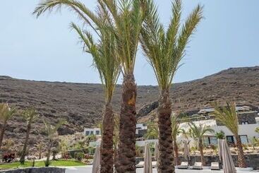 호텔 Palm Island Suites