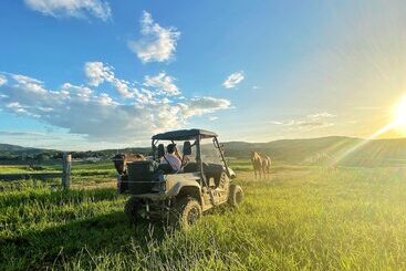 田舎風ホテル Kur Cow Farm Escape 35 Minutes From Cairns