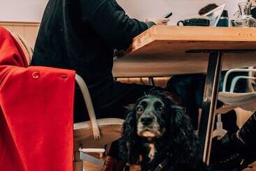 Отель Selina Margate