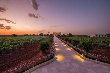 ホテル Tenuta Rocci Cerasoli