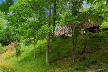 별장 Underlook Cabin Secluded Cabin With Wifi Large Deck Gas Grill Wood Fireplace