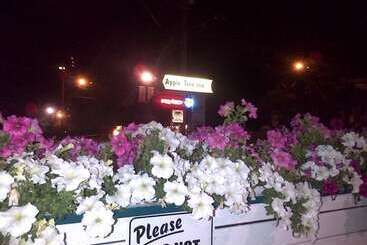 בית מלון כפרי Apple Tree Inn