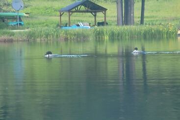 Ladd Pond Cabins And Campground, Llc