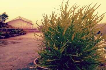 リゾートホテル D Jungle Dabas Cottages