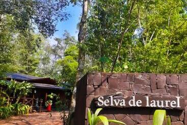 בית מלון כפרי Selva De Laurel