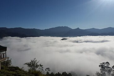 リゾートホテル Madulkelle Tea And Eco Lodge