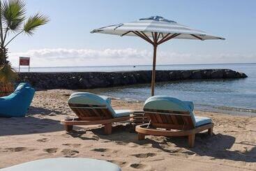 בית מלון כפרי Marty S Beachfront Apartments