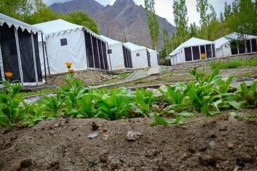 בית מלון כפרי Orchard Land