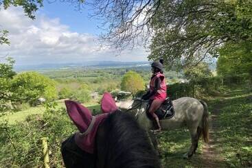 קוטג'' Outstandingly Situated Cosy Shepherds Hut