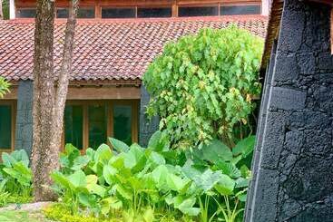 Quinta Tonantzin Hotel Boutique