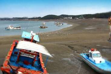 Taean Full Of Flower Scent Pension