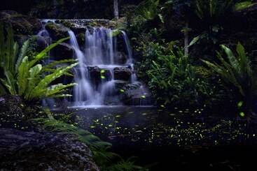 تختخواب و صبحانه Nanyang62