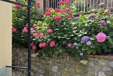 هتل The Time Home&