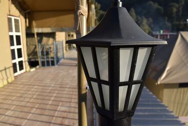 بنسيون Camp Cedar