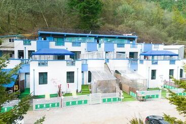 ペンション Chuncheon Dogandstay