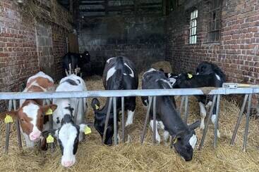 Pension Wittgensteiner Schweiz