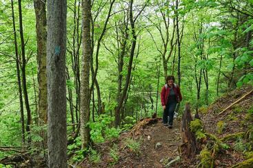 צימר L Ancien Presbytère De St Marcel